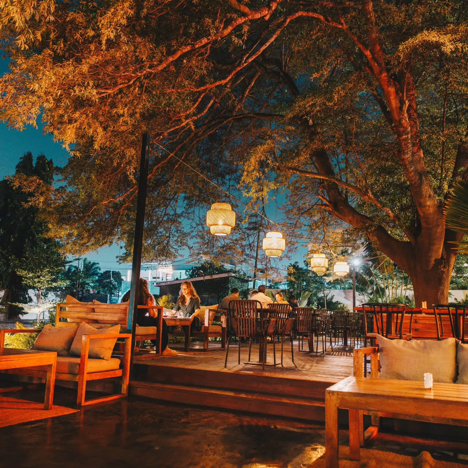 The deck at six — rattan lanterns lit in the branches, the sky going blue