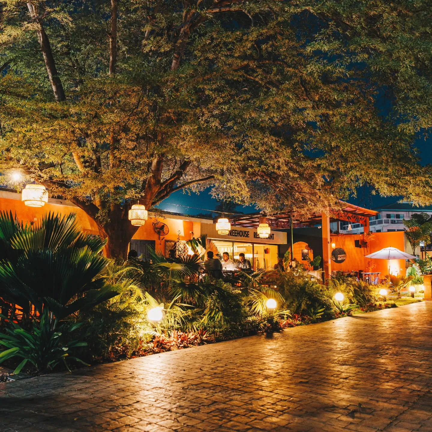 The Treehouse garden at dusk — lanterns lit along the path, the canopy overhead