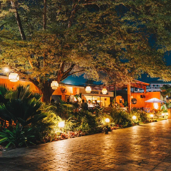 The garden path lit at night